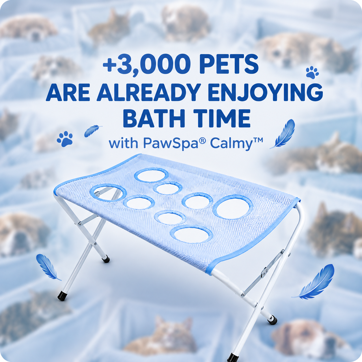 PawSpa™ Pet Bath & Grooming Stand