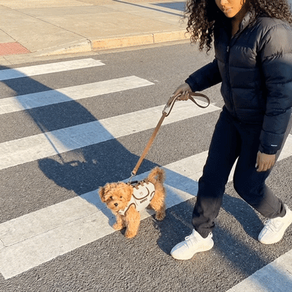 Pawzie Purse™