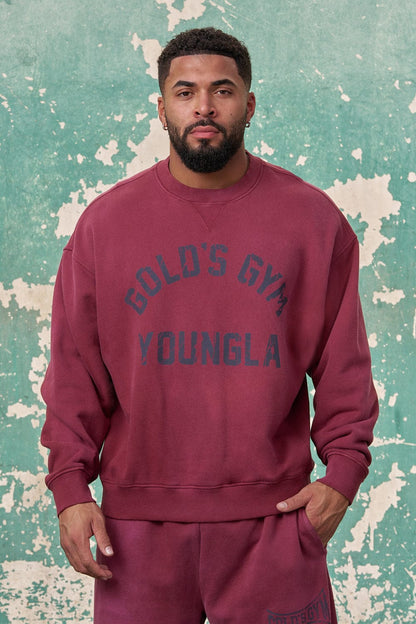 5166 - Gold's Iron Legacy Vintage Crewnecks