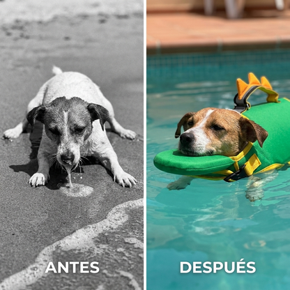 Dog Life Jacket